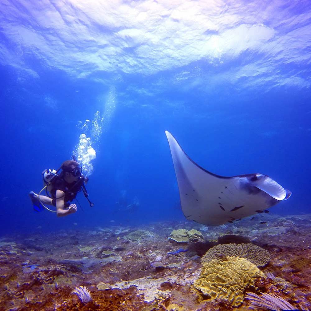Bali - Fun diving trips
